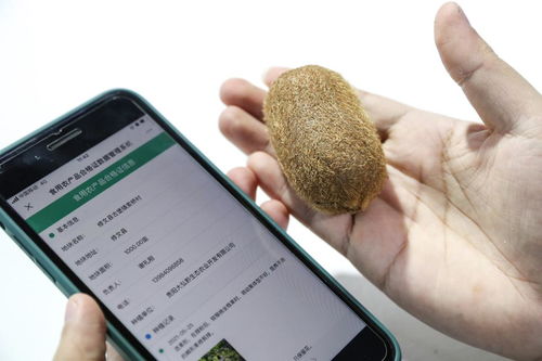 大數(shù)據(jù)賦能鄉(xiāng)村振興 技術(shù)推廣的新路徑